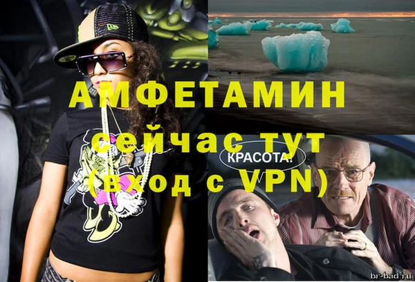 индика Красноперекопск