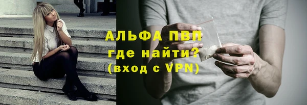 индика Красноперекопск