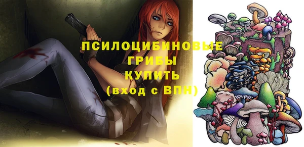 марки lsd Краснослободск