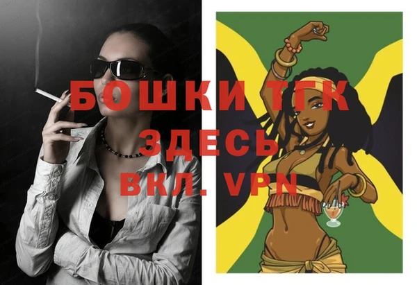 индика Красноперекопск