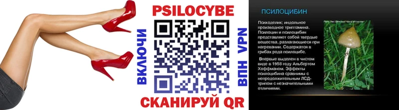 Псилоцибиновые грибы Cubensis  Купить закладки  Болотное 